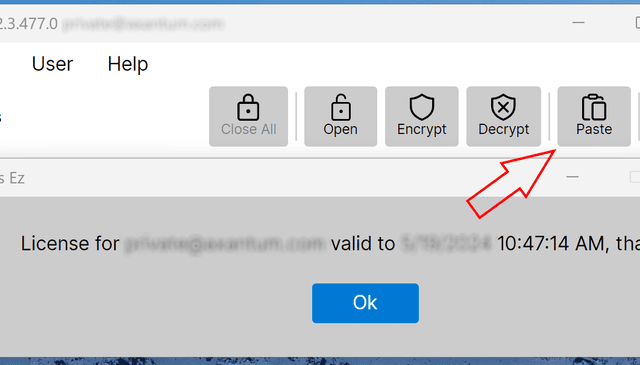 A screenshot showing the license pasted into the application