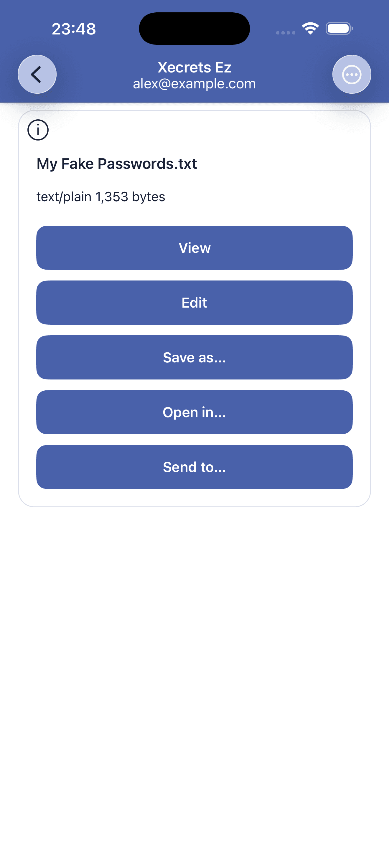 Choices for viewing, editing, saving, opening or sharing a decrypted file